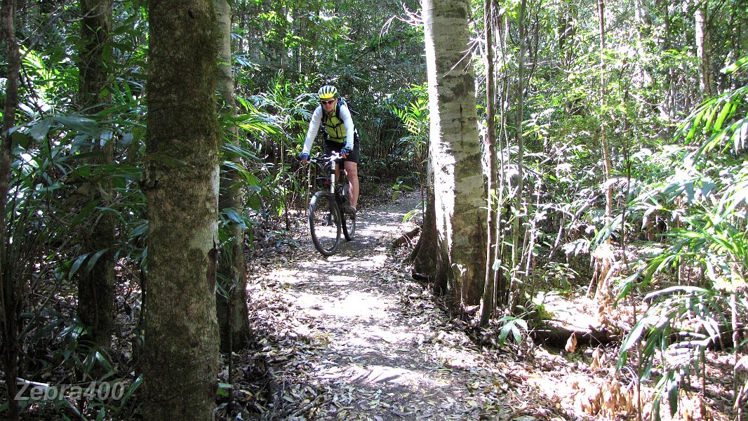 07-Some good MTBing in the Gibraltar Range NP.JPG